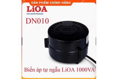 Biến áp DN010 -  đổi nguồn hạ cấp 1Pha 1KVA
