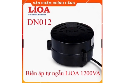 Biến áp DN012 - đổi nguồn hạ cấp 1Pha 1.2KVA