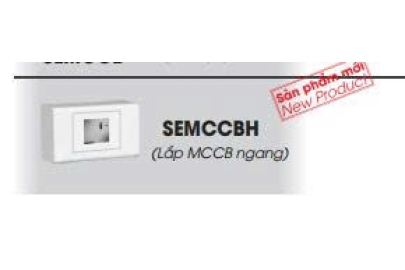 SEMCCBH - Hộp chứa 1 MCCB 2P Gắn nổi